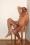 gean-loup